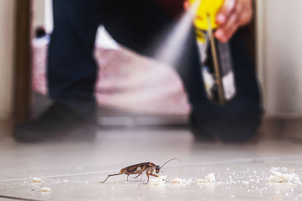 Best Exterminator Services  in Whitesboro, NJ