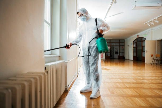 Best Wasp Removal Services  in Whitesboro, NJ
