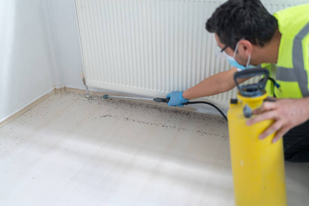 Best Mosquito Control Services  in Whitesboro, NJ